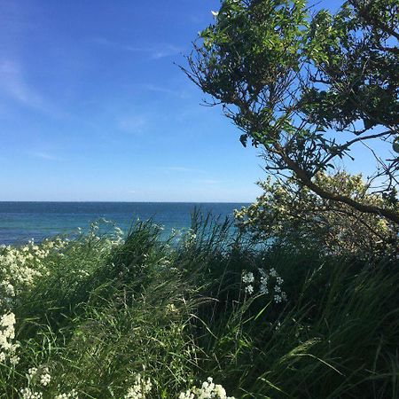 Traumhaftes Strand-Apartment Mit Meerblick Staberdorf Экстерьер фото