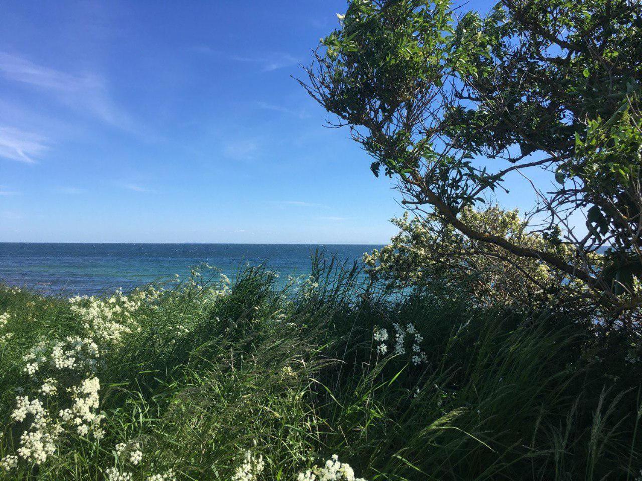 Traumhaftes Strand-Apartment Mit Meerblick Staberdorf Экстерьер фото